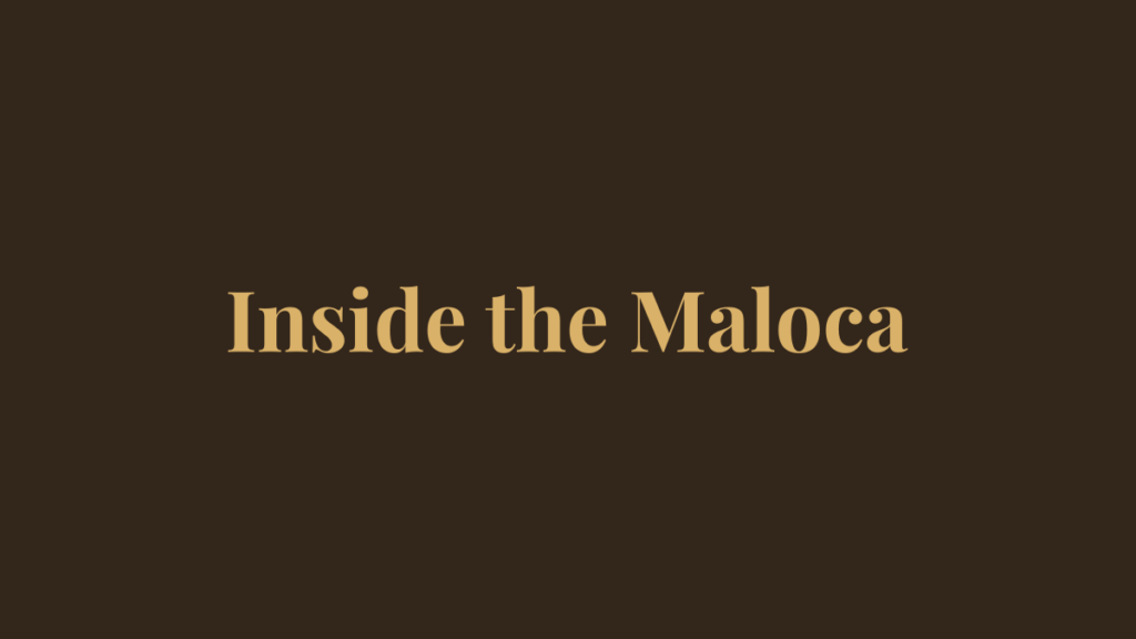 Inside the maloca during an ayahuasca ceremony - placeholder graphic