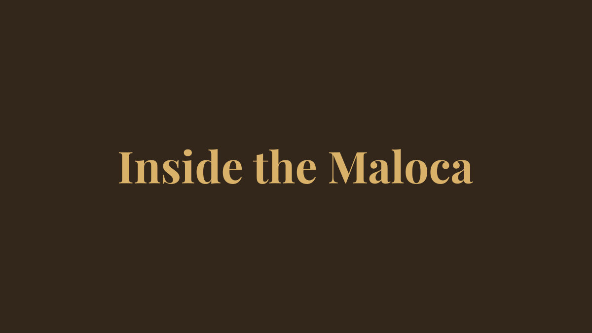 Inside the maloca during an ayahuasca ceremony - placeholder graphic